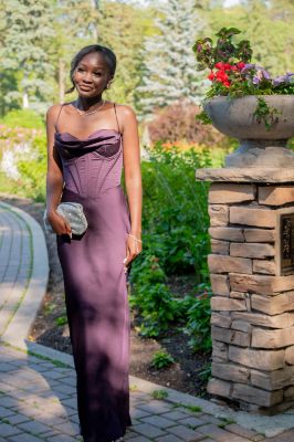 Keywords: gardens;cars;reflections