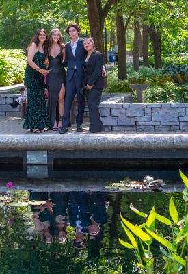 Keywords: gardens;cars;reflections