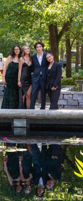 Keywords: gardens;cars;reflections