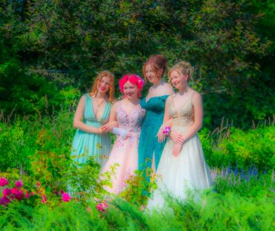 Keywords: gardens;cars;reflections