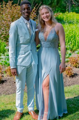 Keywords: gardens;cars;reflections