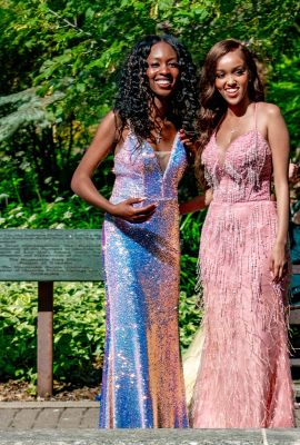 Keywords: gardens;cars;reflections